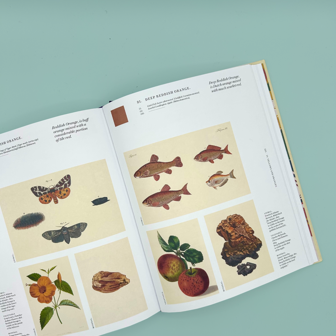 Open book showing illustrations of animals, plants, and objects on a light blue background