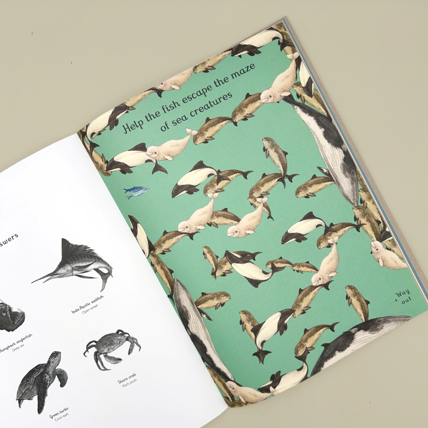 An open children's book  showing a printed page with a mint green background covered in illustrated sea creatures, including fish, whales, and seals. The left page has black-and-white animal sketches with labels.