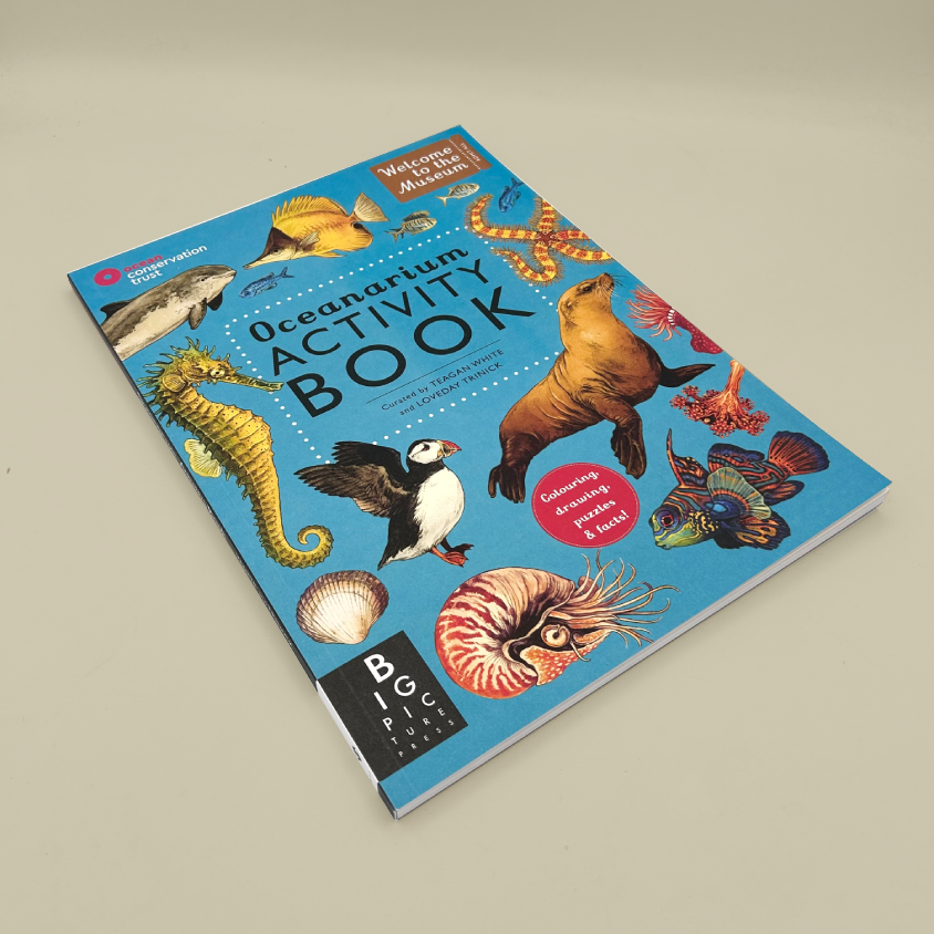 Oceanarium Activity Book, featuring a bright blue cover illustrated with various sea creatures like a seahorse, sea lion, penguin, and fish, shown on a neutral beige background.