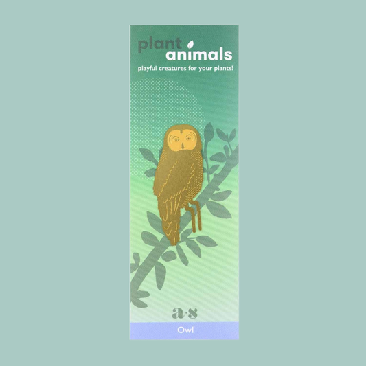 Owl shaped brass decoration on a green backing card. 