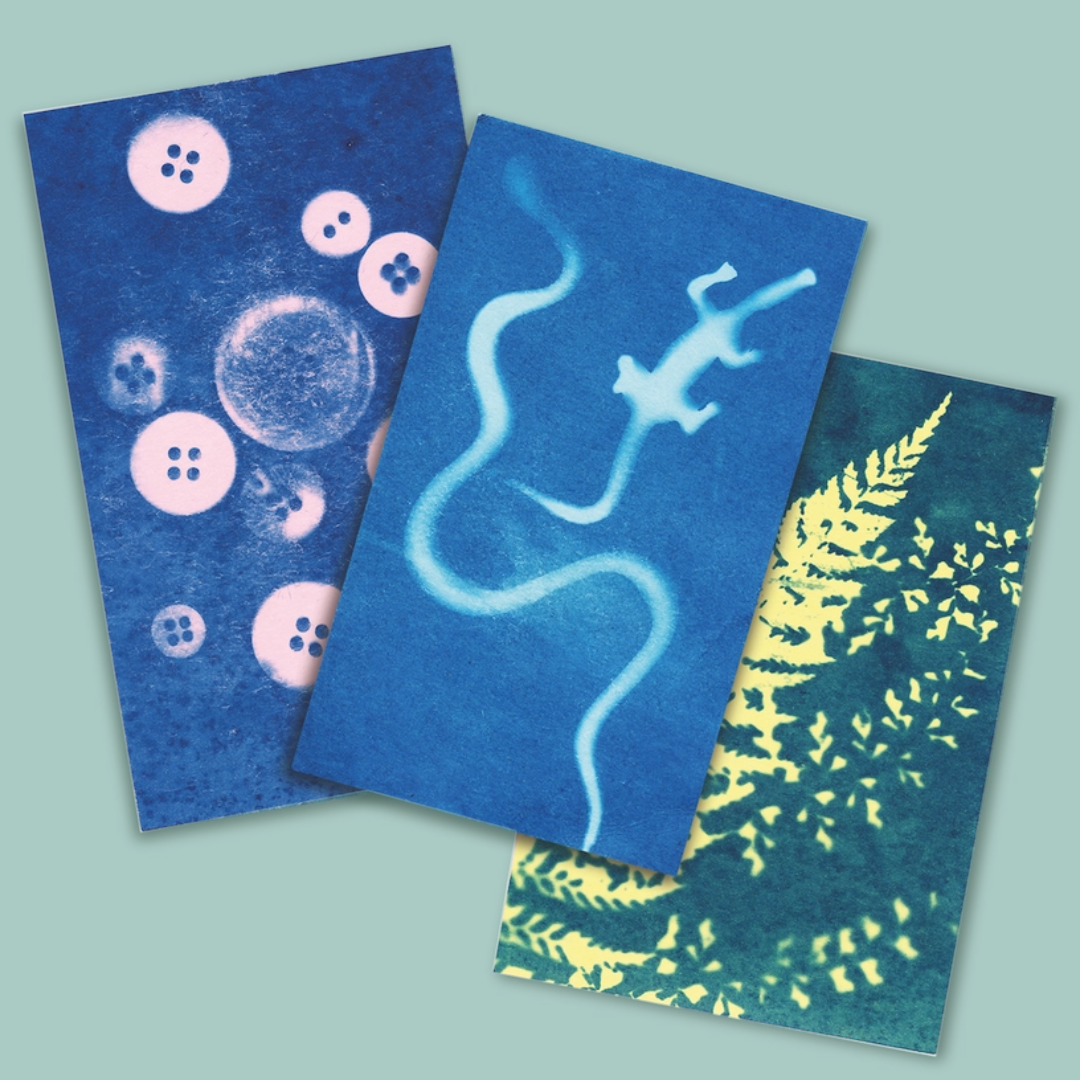 Three sunography colour cards. 