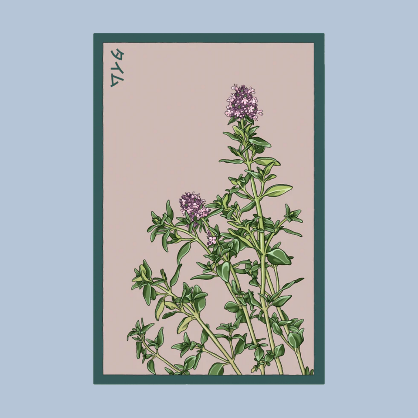 Thyme seed packet with thyme plant design on a beige background.