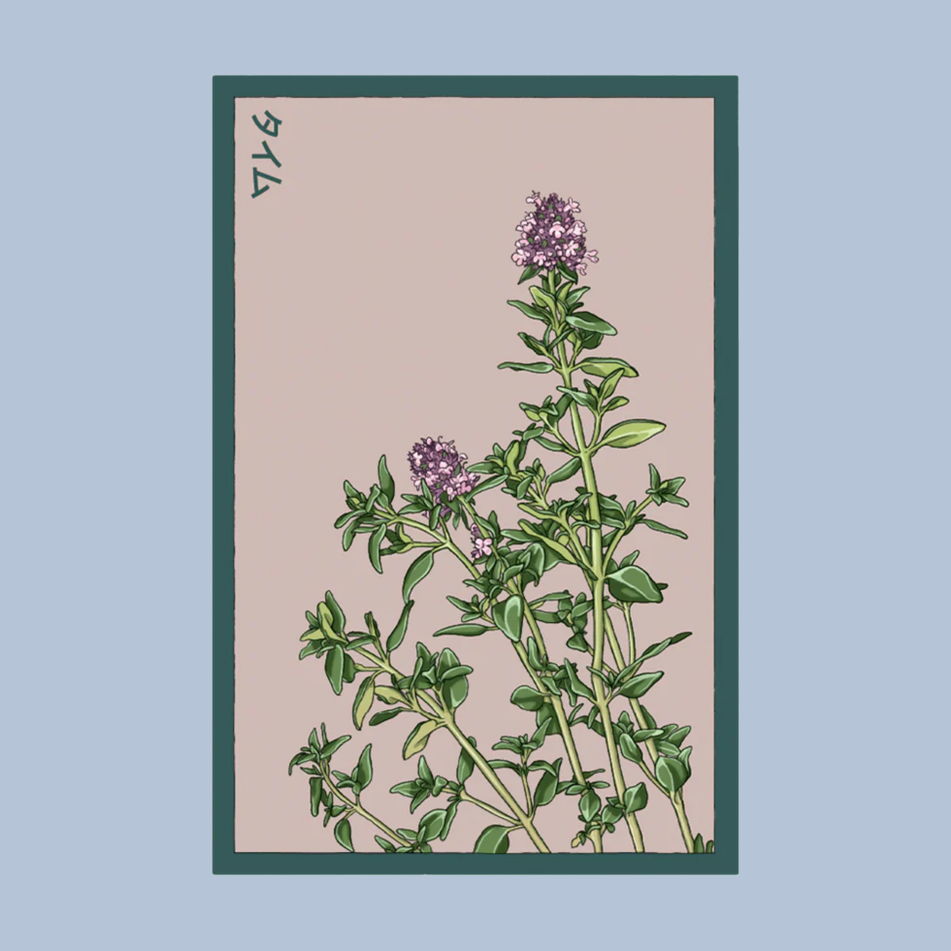 Thyme seed packet with thyme plant design on a beige background.