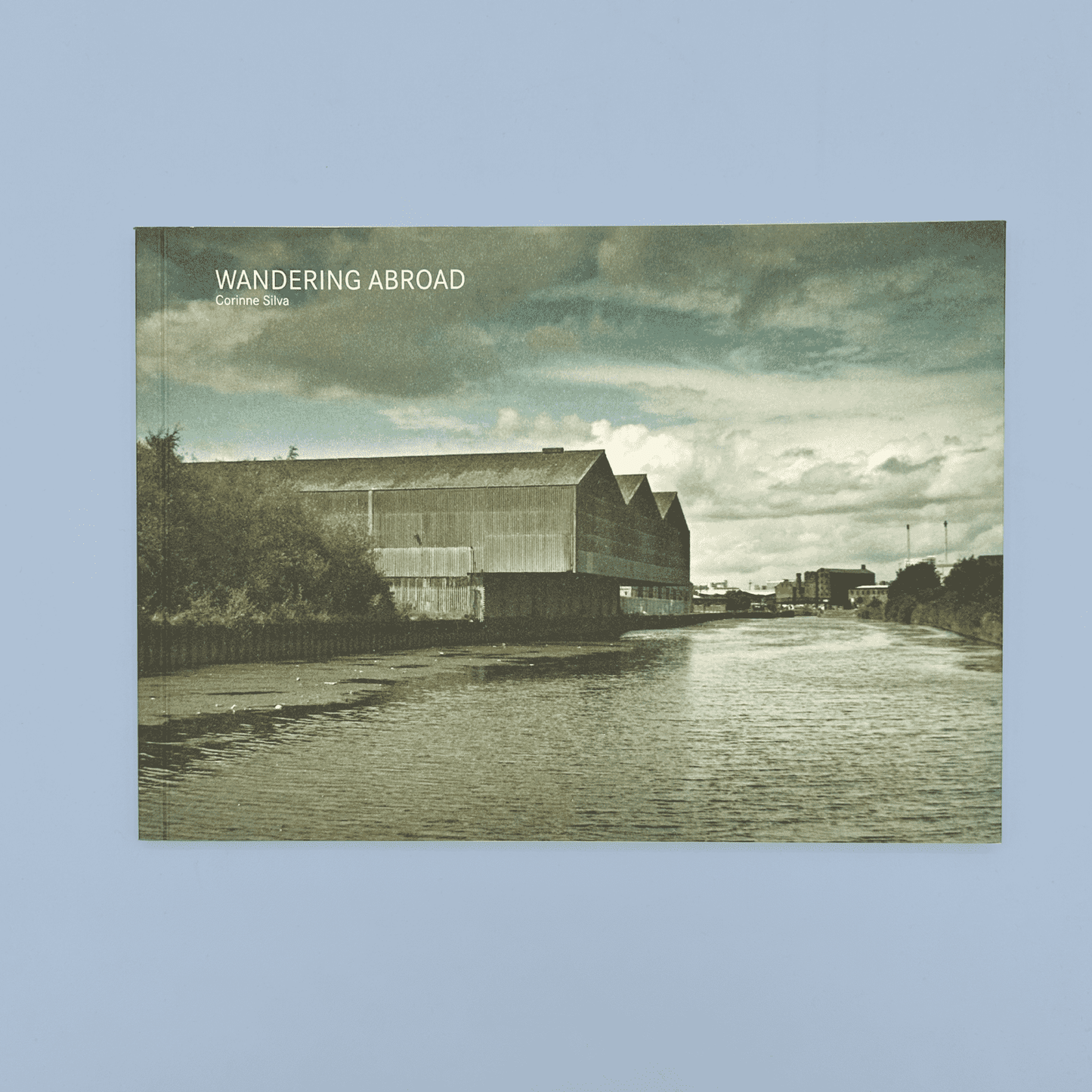 Book cover titled 'Wandering Abroad' with a scenic view of a building by a river on a blue background.