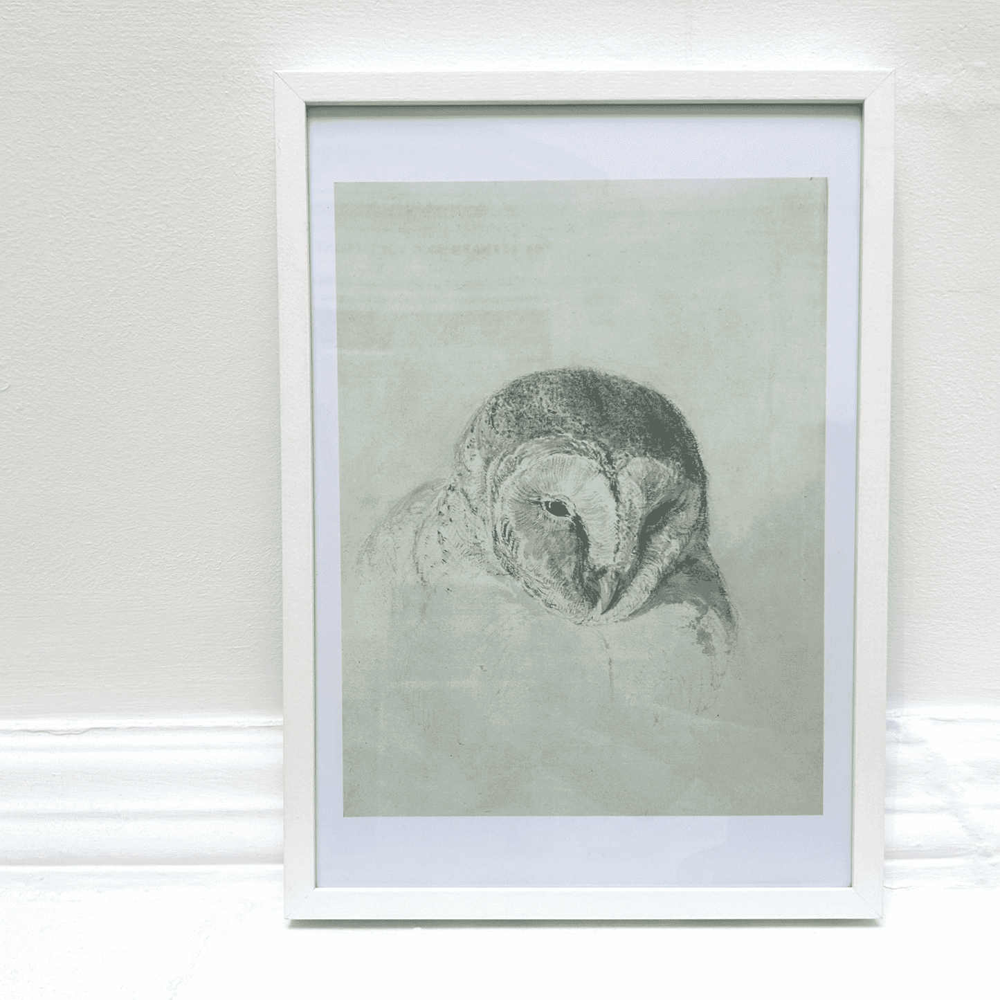 Framed artwork of an owl on a light green background