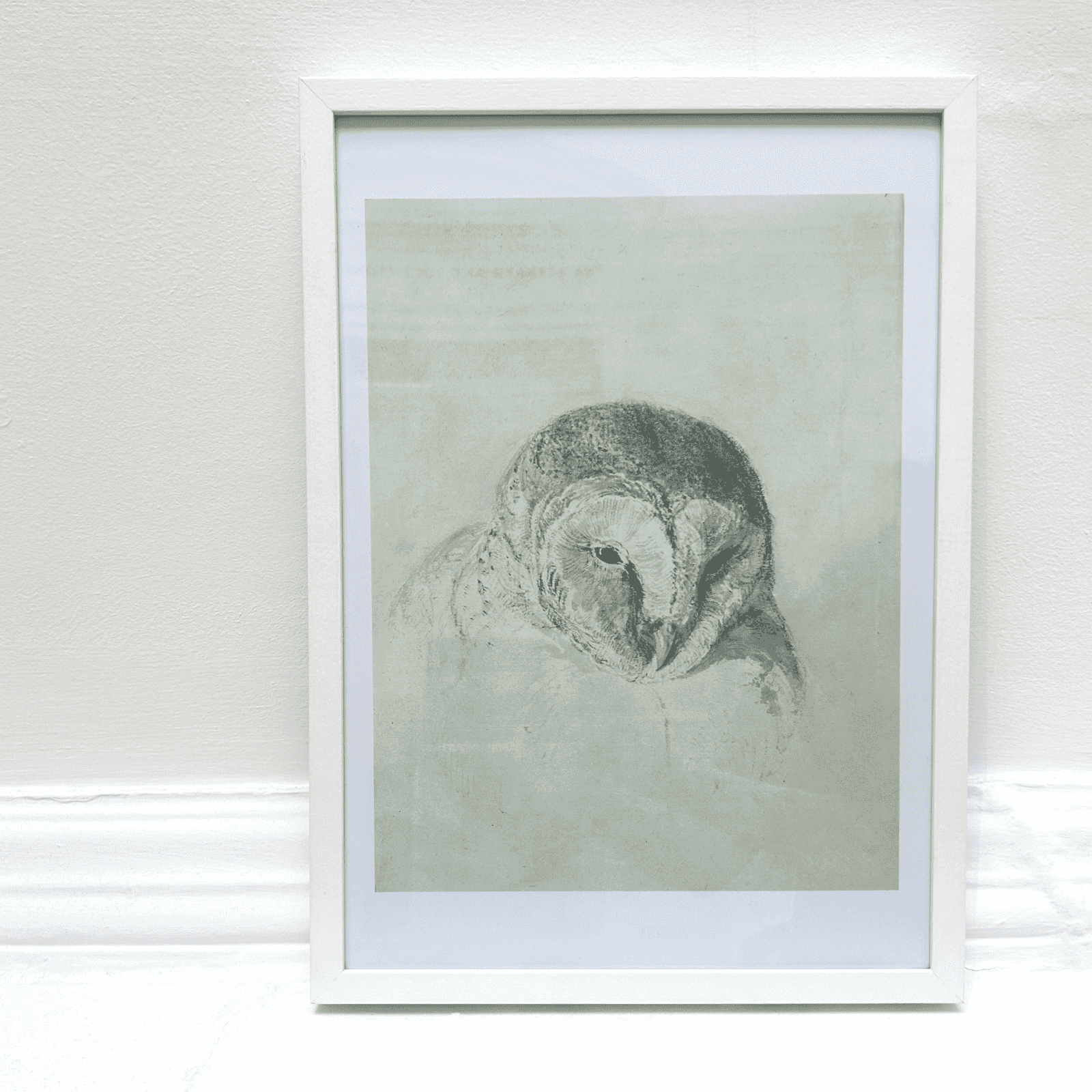 Framed artwork of an owl on a light green background