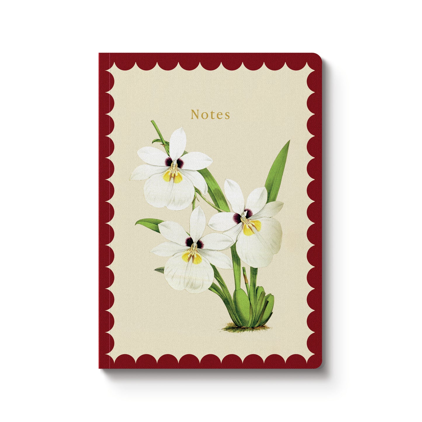 A5 Notebook - White Orchid