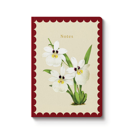 A5 Notebook - White Orchid