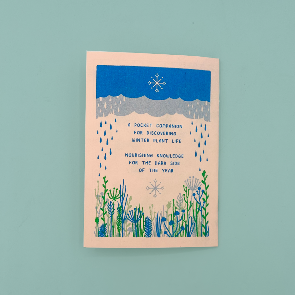 The back cover of a zine by Kriski. The cover is pink with blue and green risograph printed illustrations of plants, rain, and a snowflakes. The back text reads 'A pocket companion for discovering winter plant life' and 'Nourishing knowledge for the dark side of the year.'